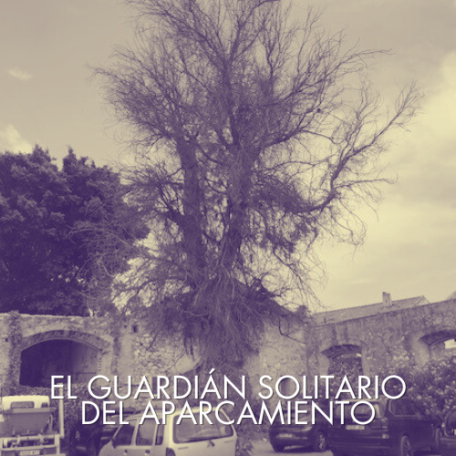 Copy of Copy of Reclama tu poder